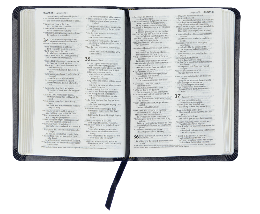 NLT Compact Gift Bible