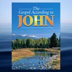 Load image into Gallery viewer, The Gospel According to John
