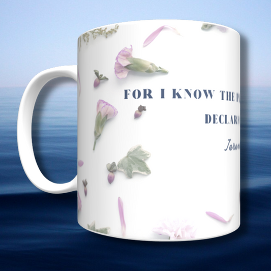 For I Know the Plans Mug