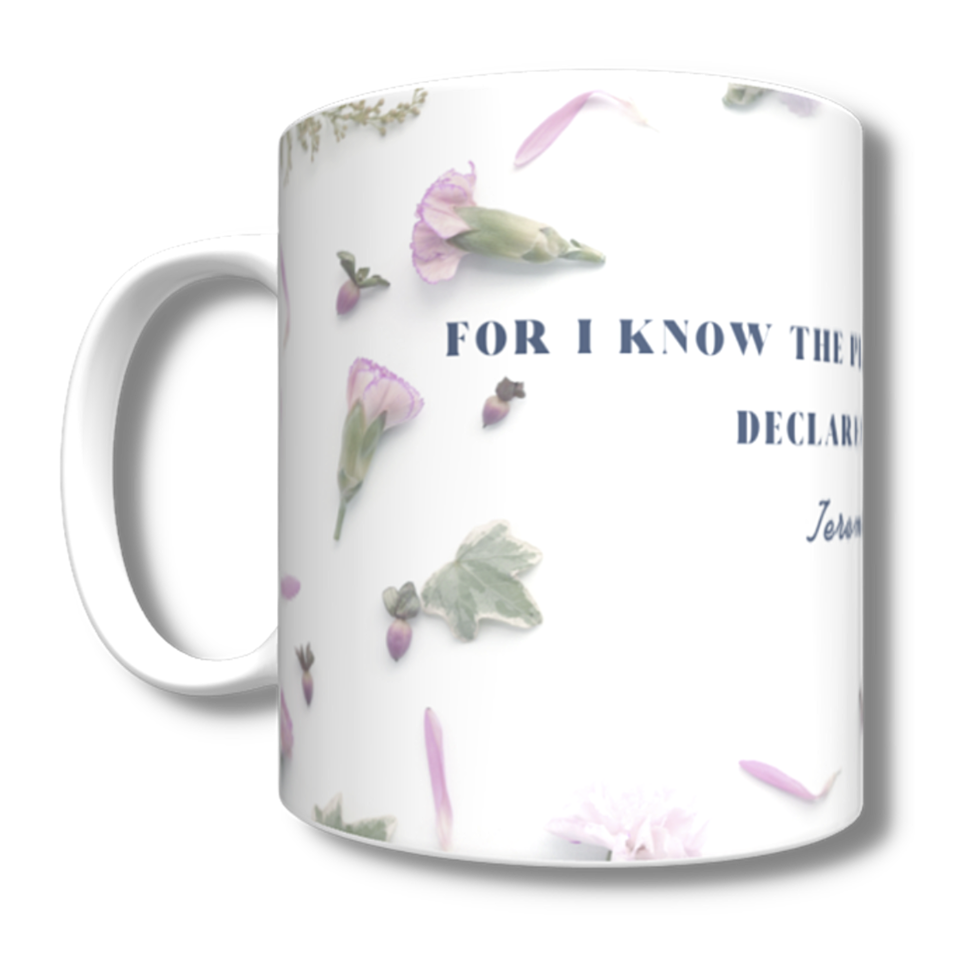 For I Know the Plans Mug