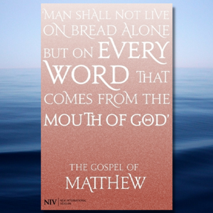 The Gospel of Matthew (NIV)